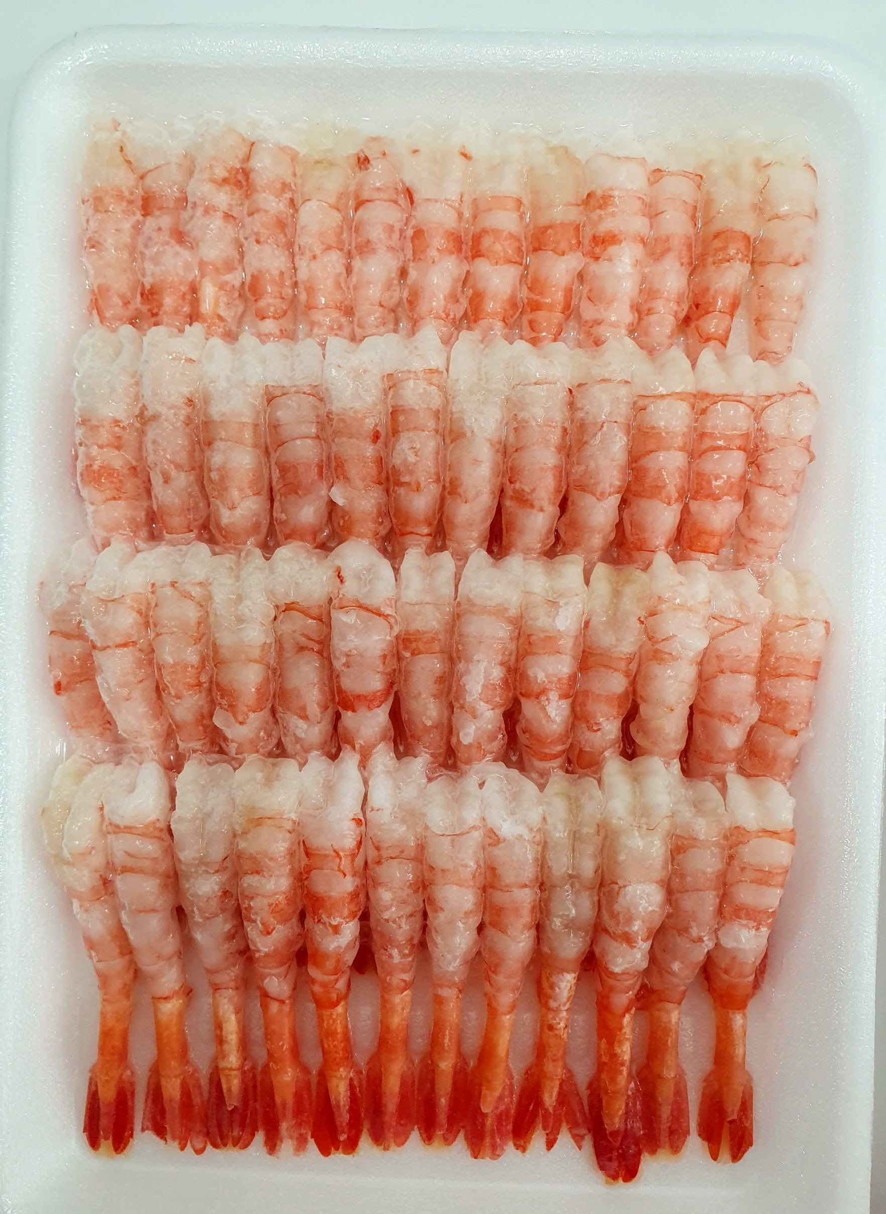 Shrimp Sushi